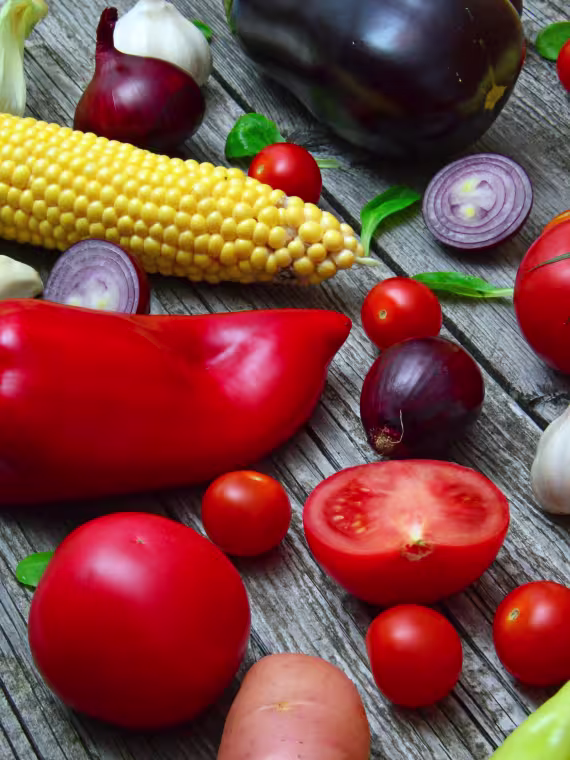 Farm-to-table organic vegetables and nature connection experiences - Limban Resort