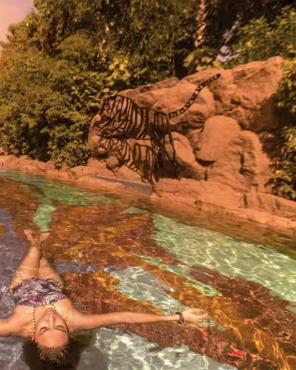 30+ Things to do at Limban