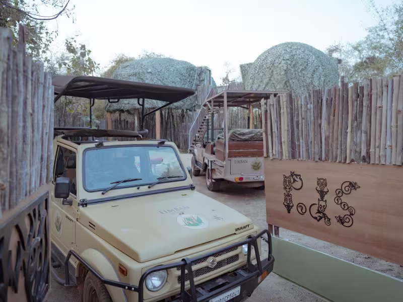 Two Limban safari jeeps parked in the resort compound in the early morning, with the Wilderness Pods visible on raised structures behind them and a decorative wooden fence to the side.