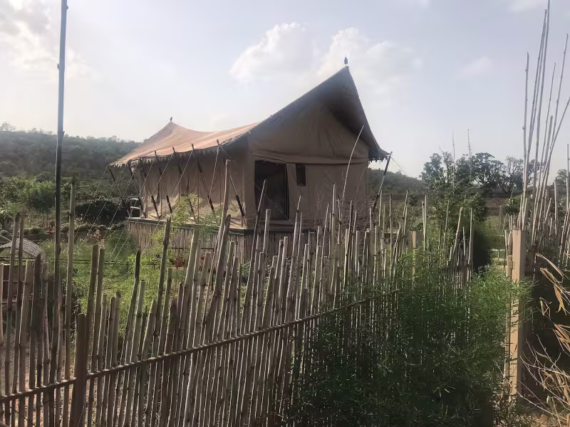 Daytime guest-submitted photograph of The Canvas suite at Limban Resort — a large tent-style structure with a sloped thatched roof, set behind a bamboo fence surrounded by greenery.