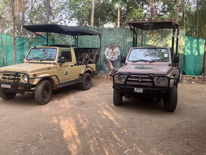 Two custom Limban safari jeeps parked side by side in front of a painted tiger mural wall, one sandy-beige and one darker-toned, both open-top canopy style with Limban branding.