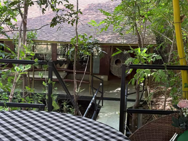 View from the private deck of The Canopy Suite at Limban, looking out over bamboo, lush vegetation and the thatched roof of the suite itself, with trees on all sides.