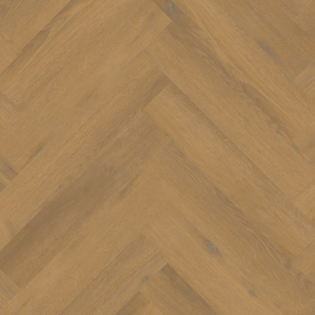 Savannah Oak