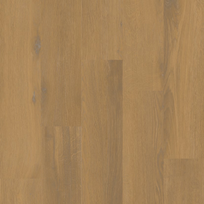 Savannah Oak