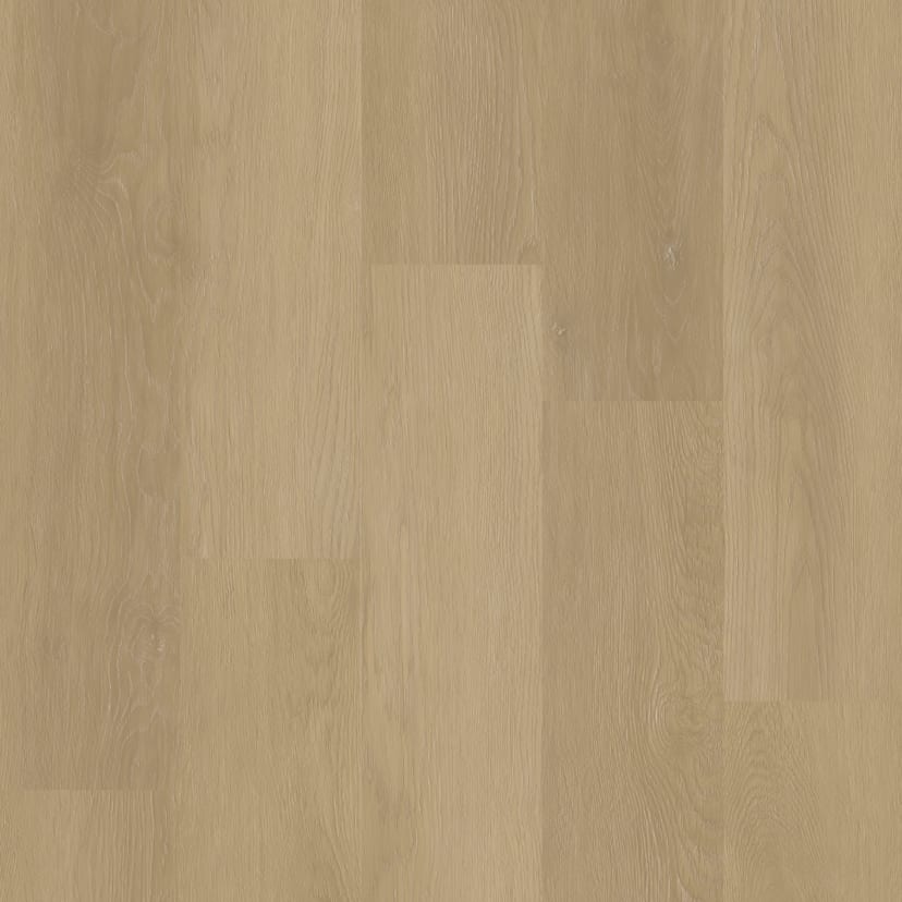 Barcelona Sand