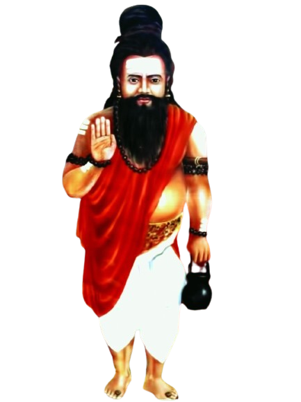 Nadi Astrology