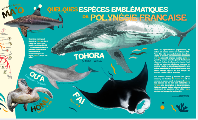 Emblematic species of French Polynesia