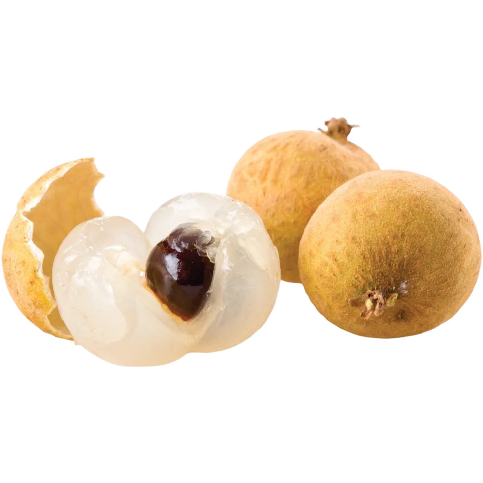 Longan