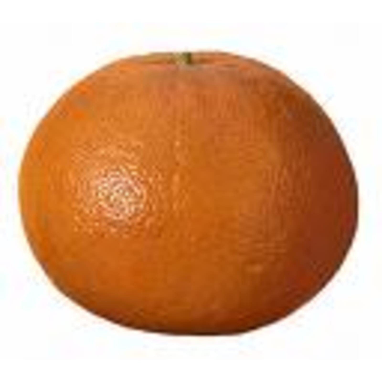 Large Pink Grapefruit