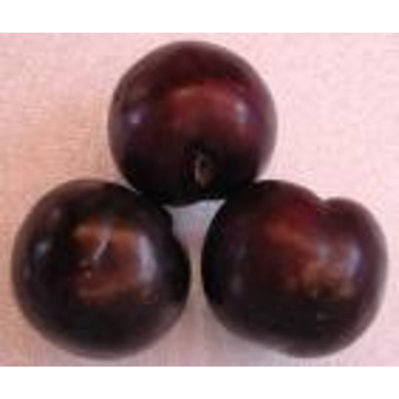 All Varieties Plums