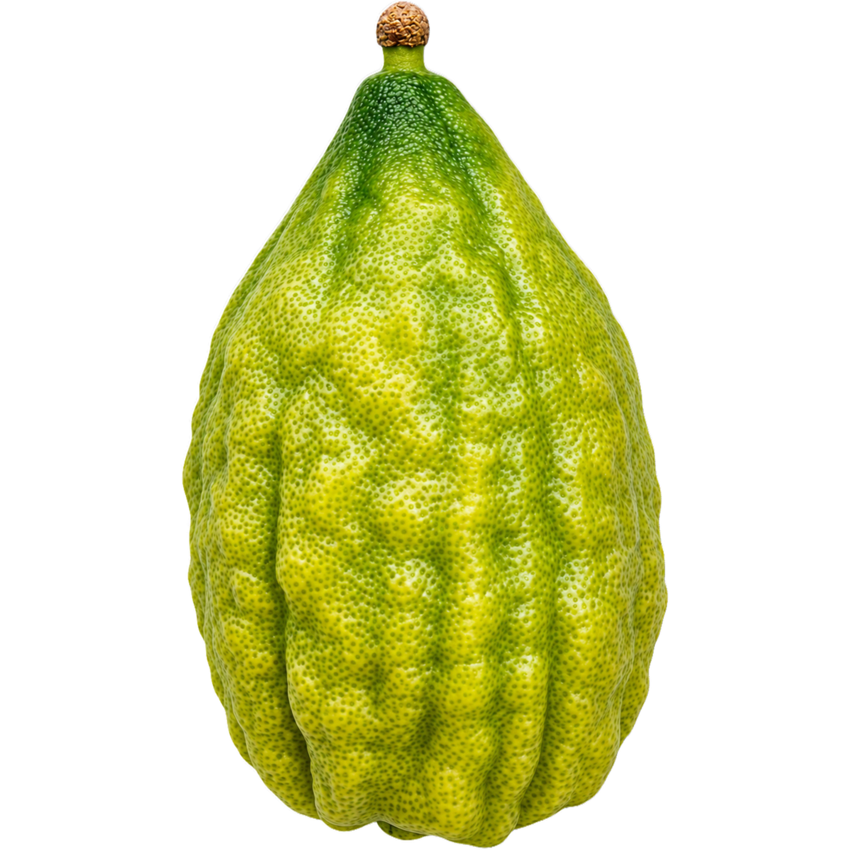 Esrug