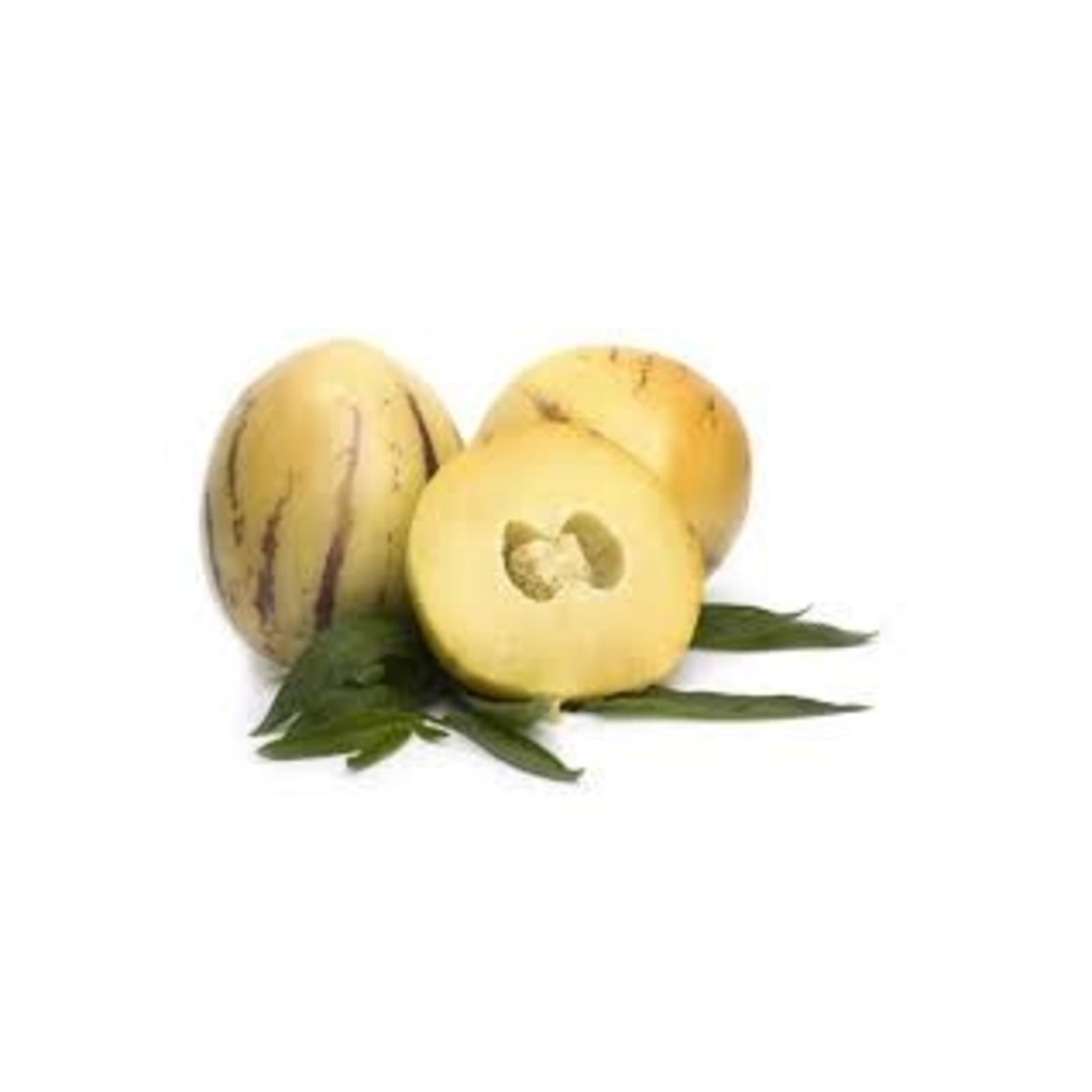Papino Melon
