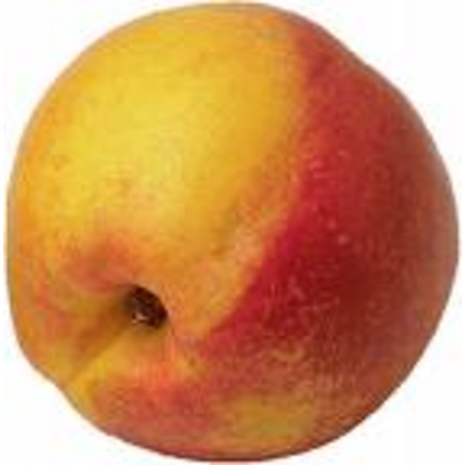 Large Nectarine
