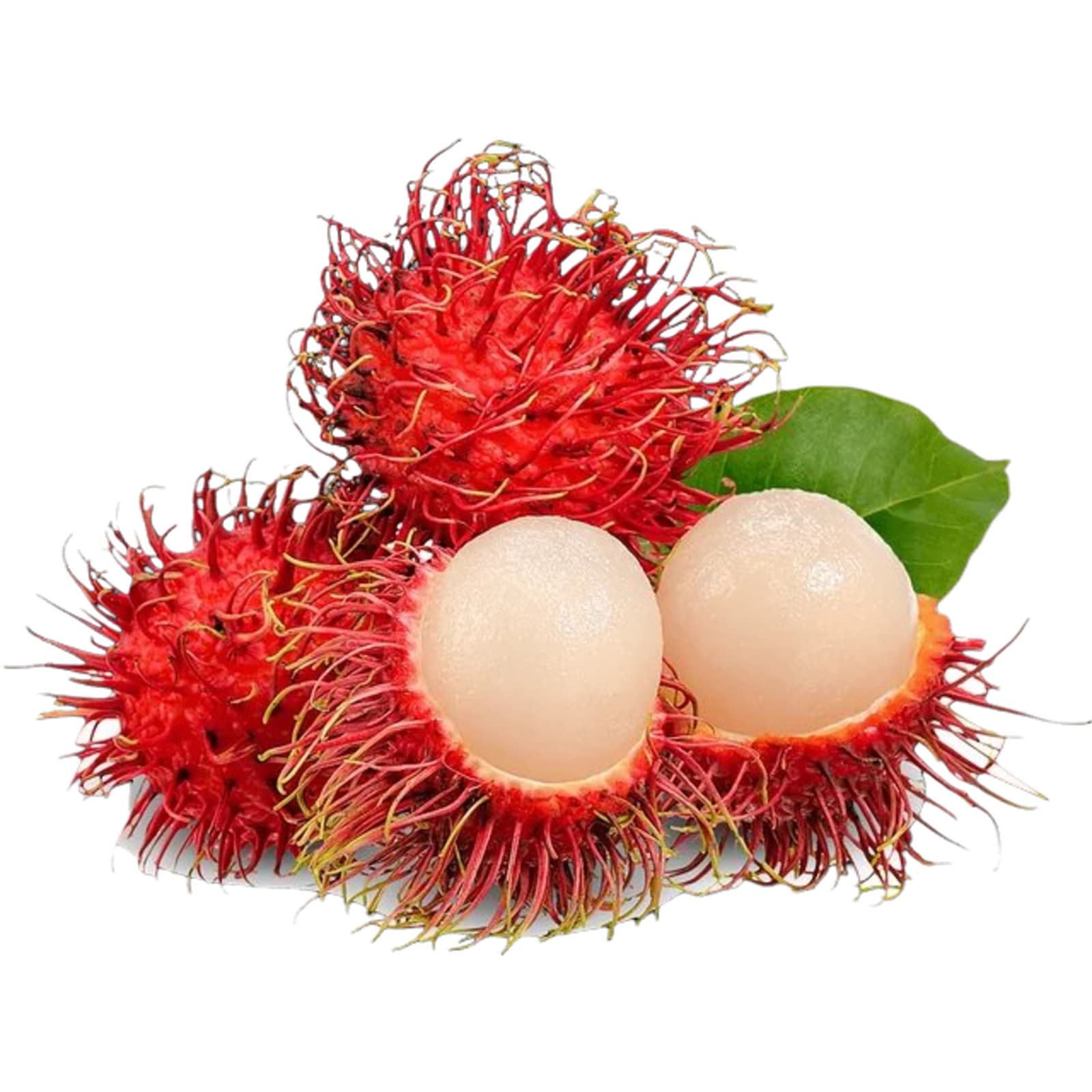 Rambutan