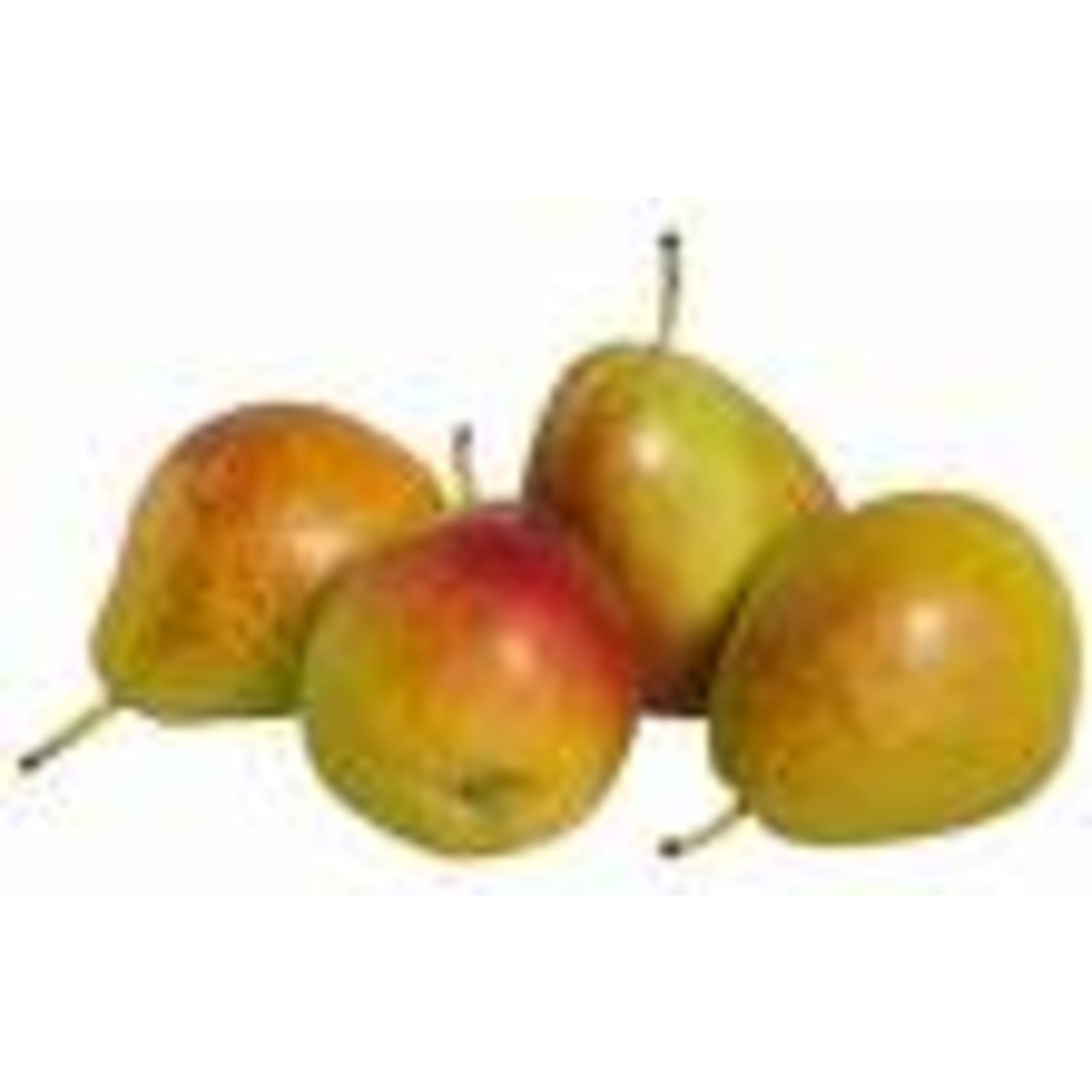 Forreli Pears