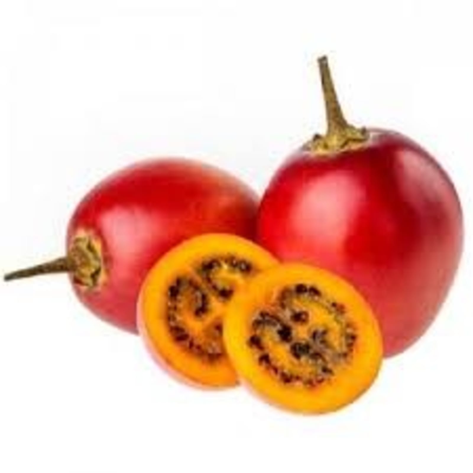 Tamarillo Red