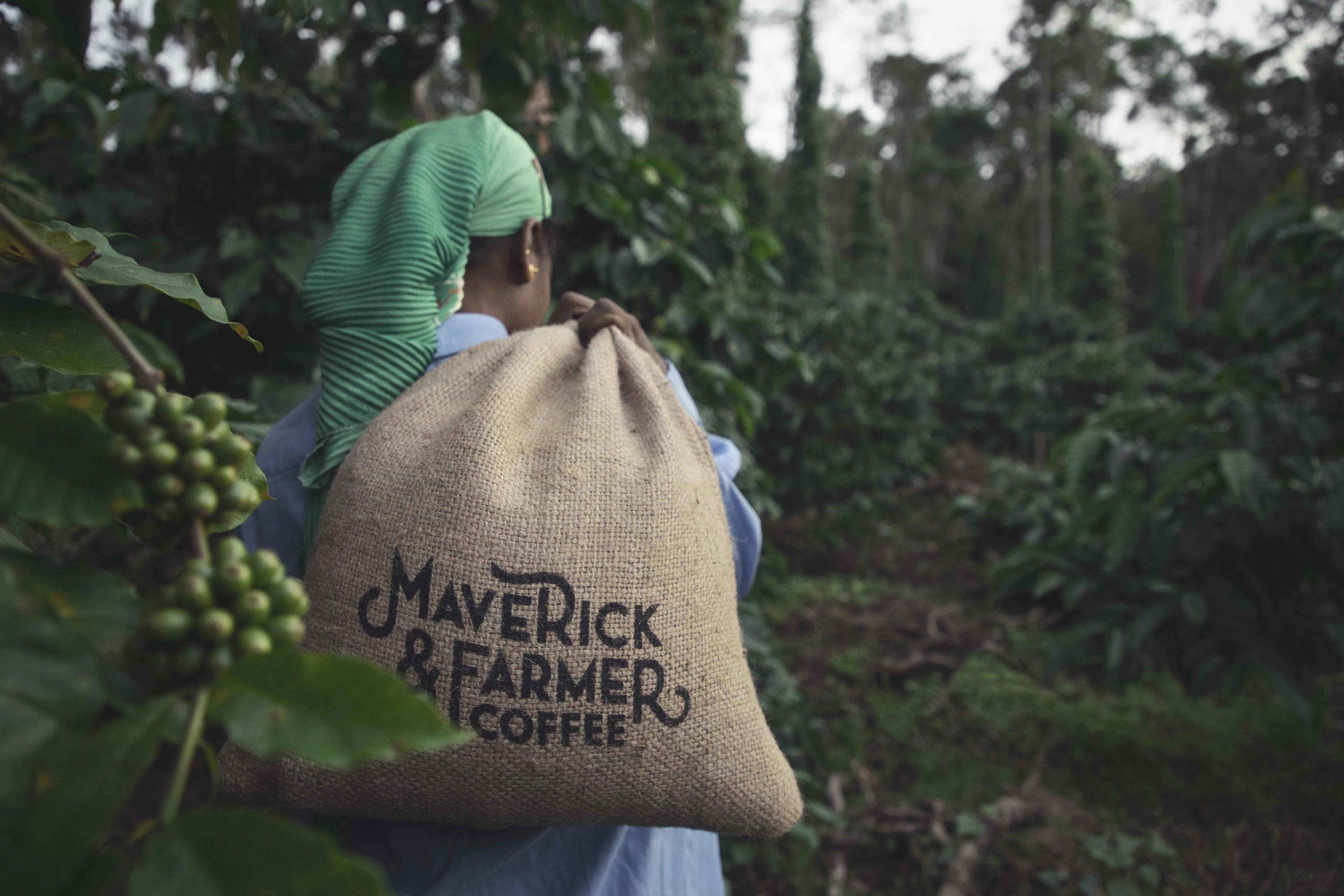 Photos of Maverick & Farmer