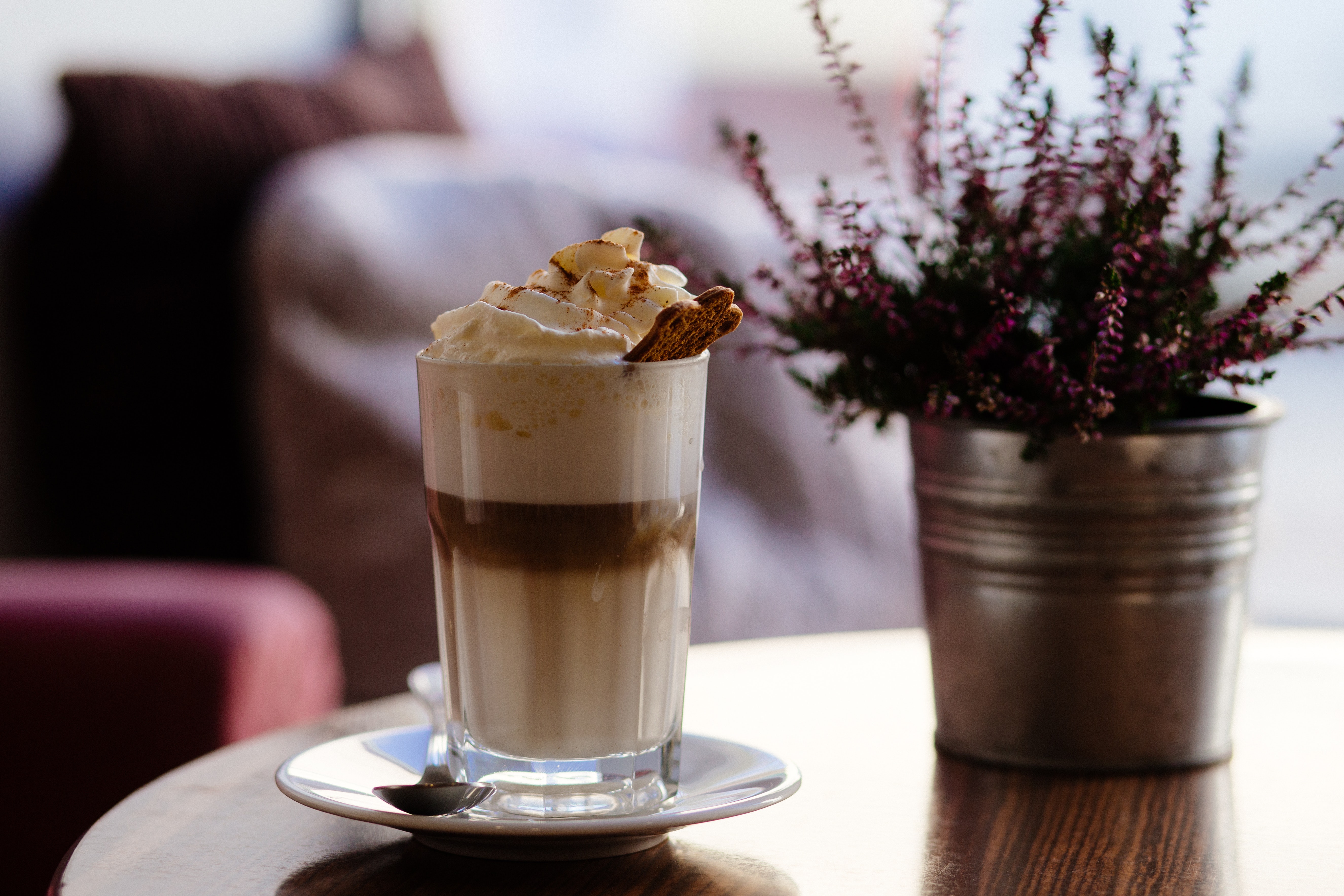 Image 5 for Exploring Beyond Coffee: Your Guide to Starbucks' Flavourful Non-Coffee Options