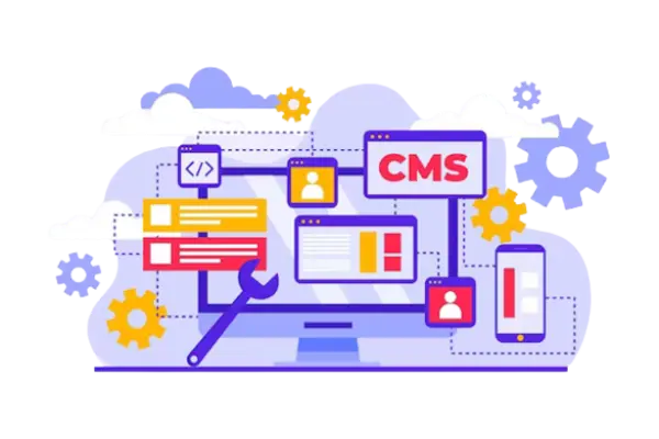 Website Development Services - CMS - image 3