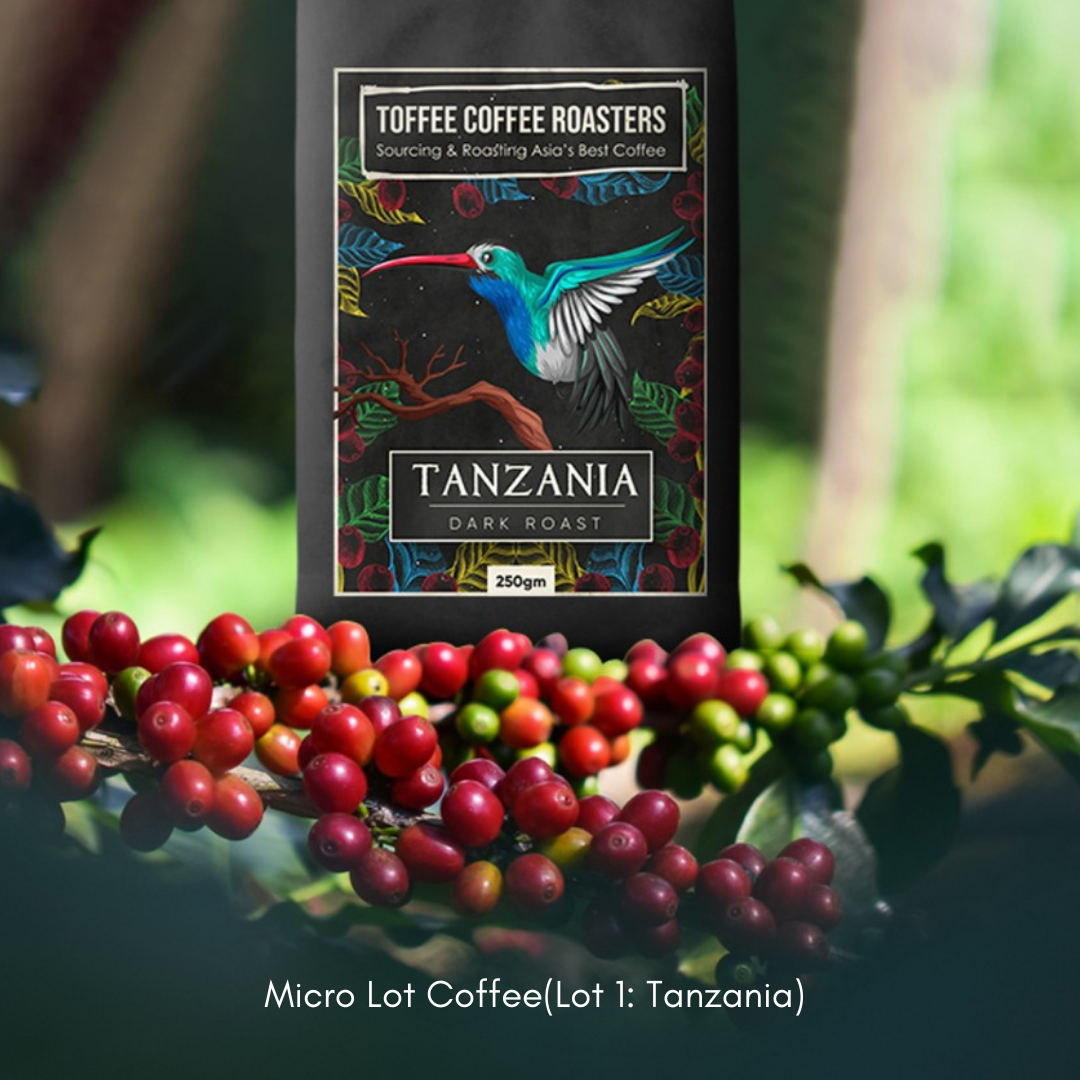 Toffee Coffee Roasters  - Tanzania Coffee (From Mt Kilimanjaro) product image