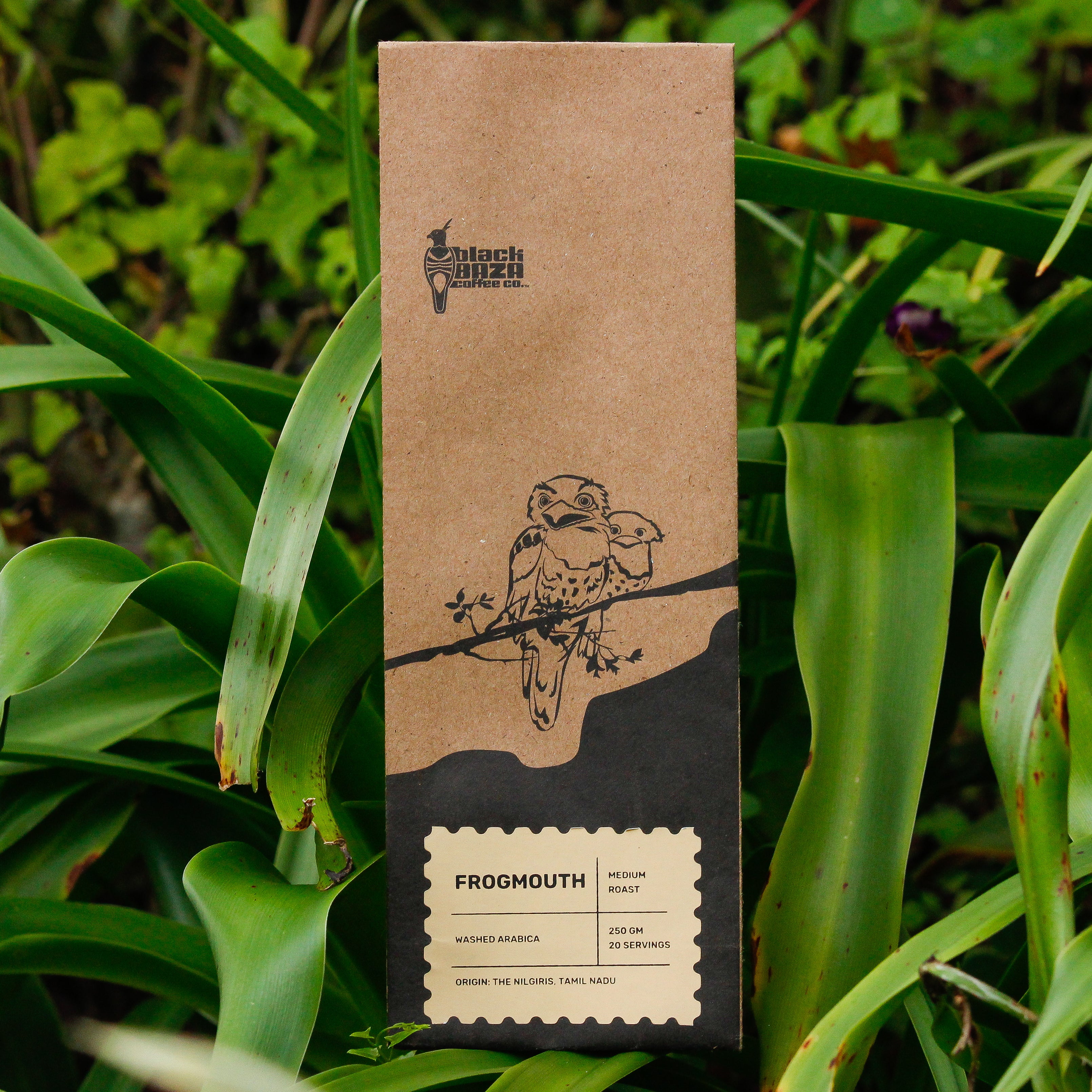 Black Baza Coffee Co. - Frogmouth product image