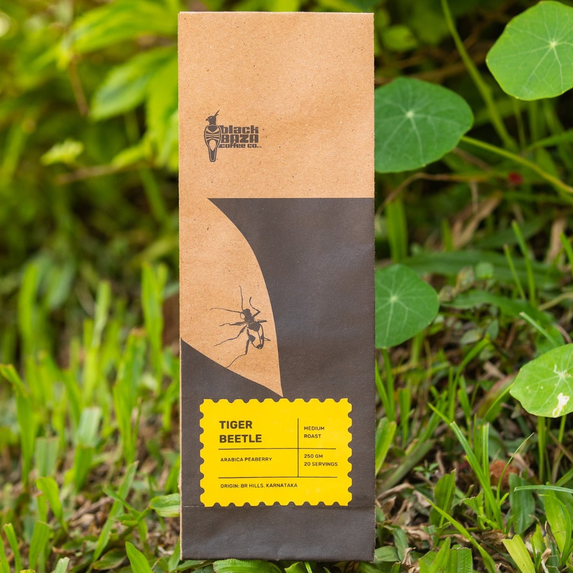 Black Baza Coffee Co. - Tiger Beetle product image