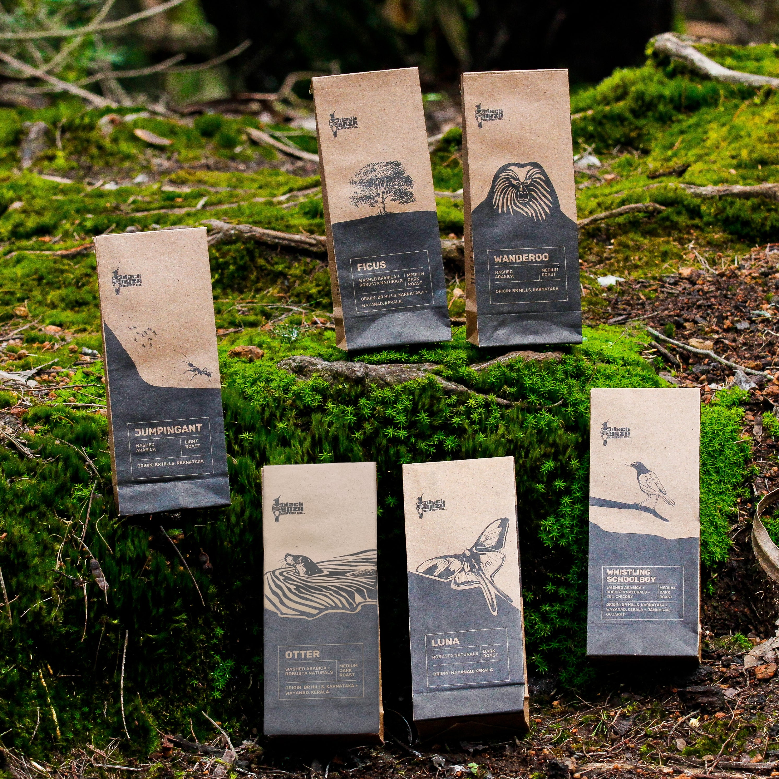 Black Baza Coffee Co. - Coffee Sampler Pack product image