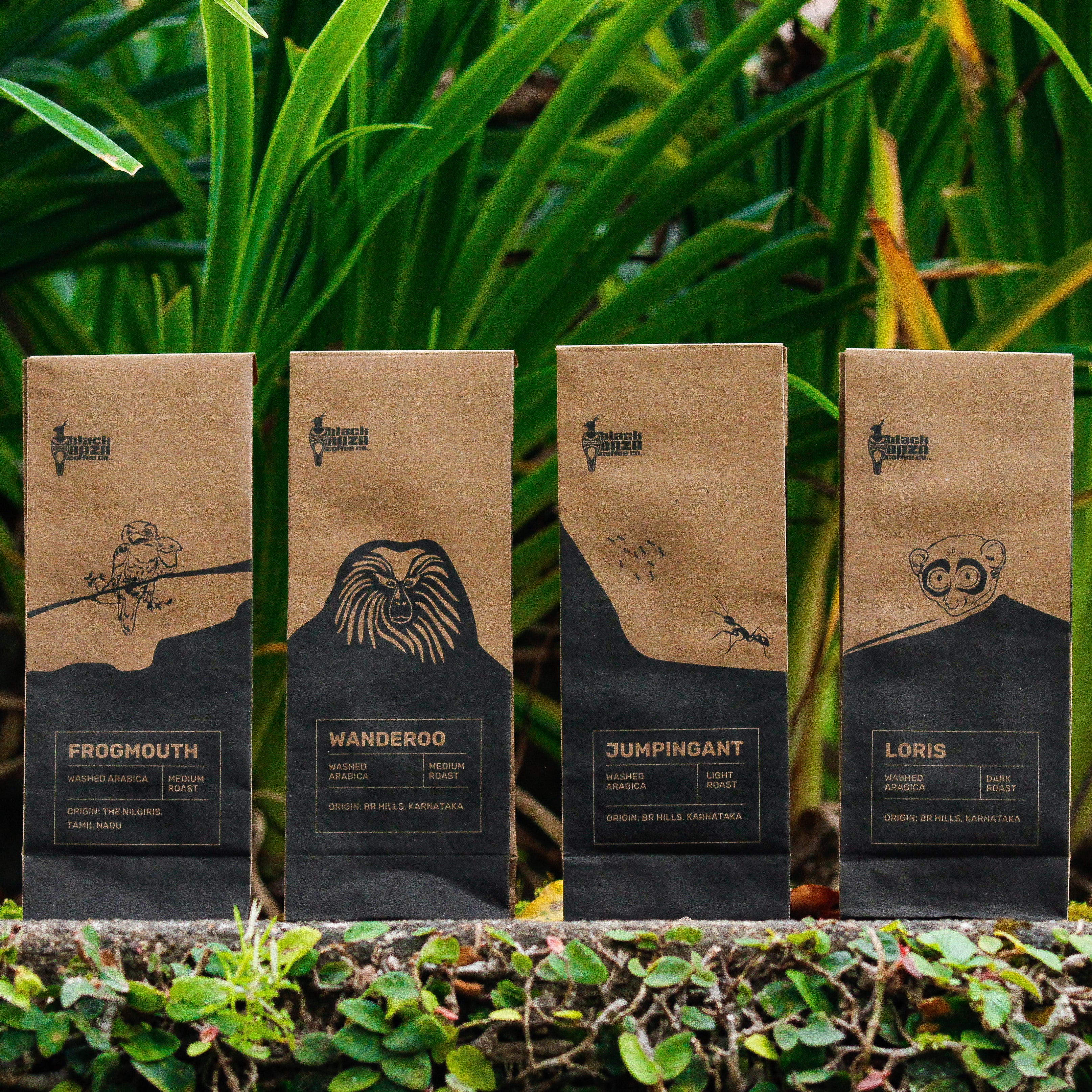 Black Baza Coffee Co. - Specialty Arabica Bundle product image