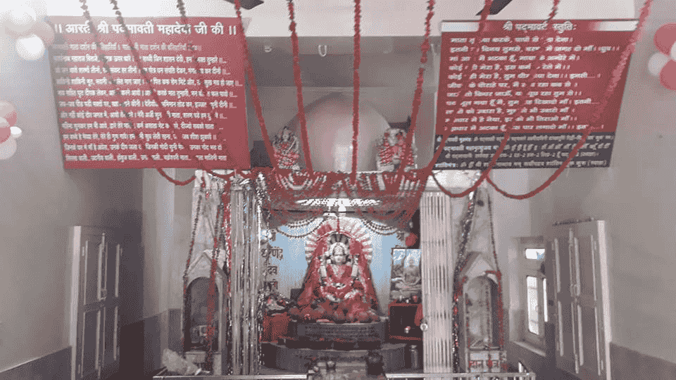 MATA PADMAVATI MANDIR temple image