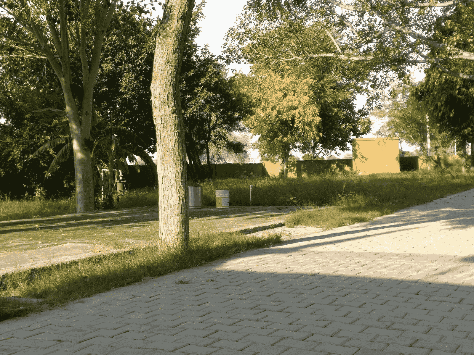 Shri Bala Ji Hanuman Temple