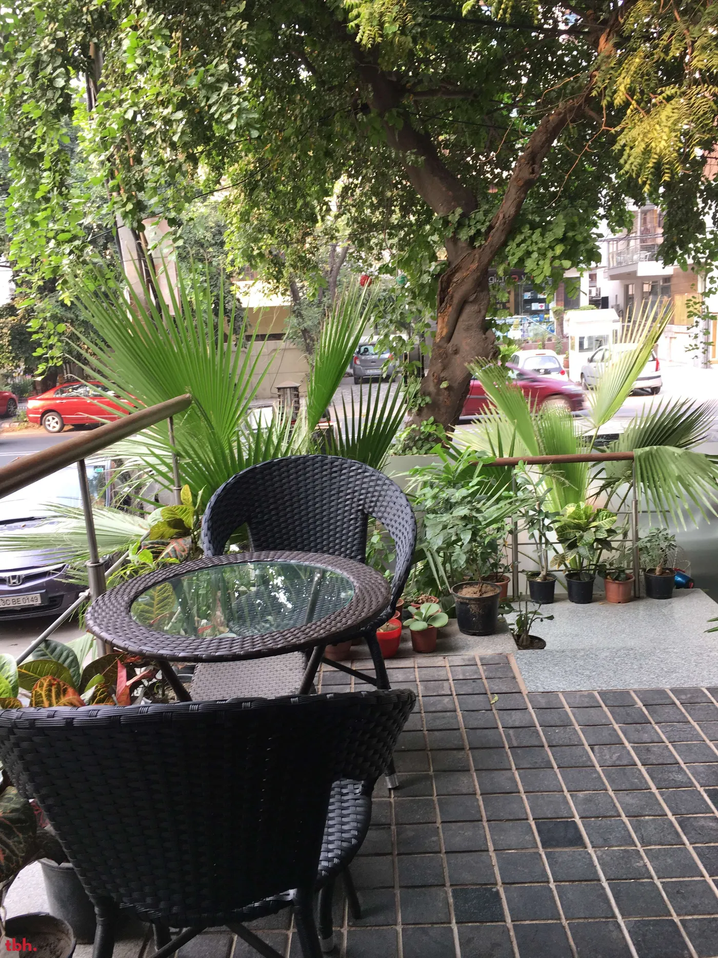 The Salad Story Outlet Image