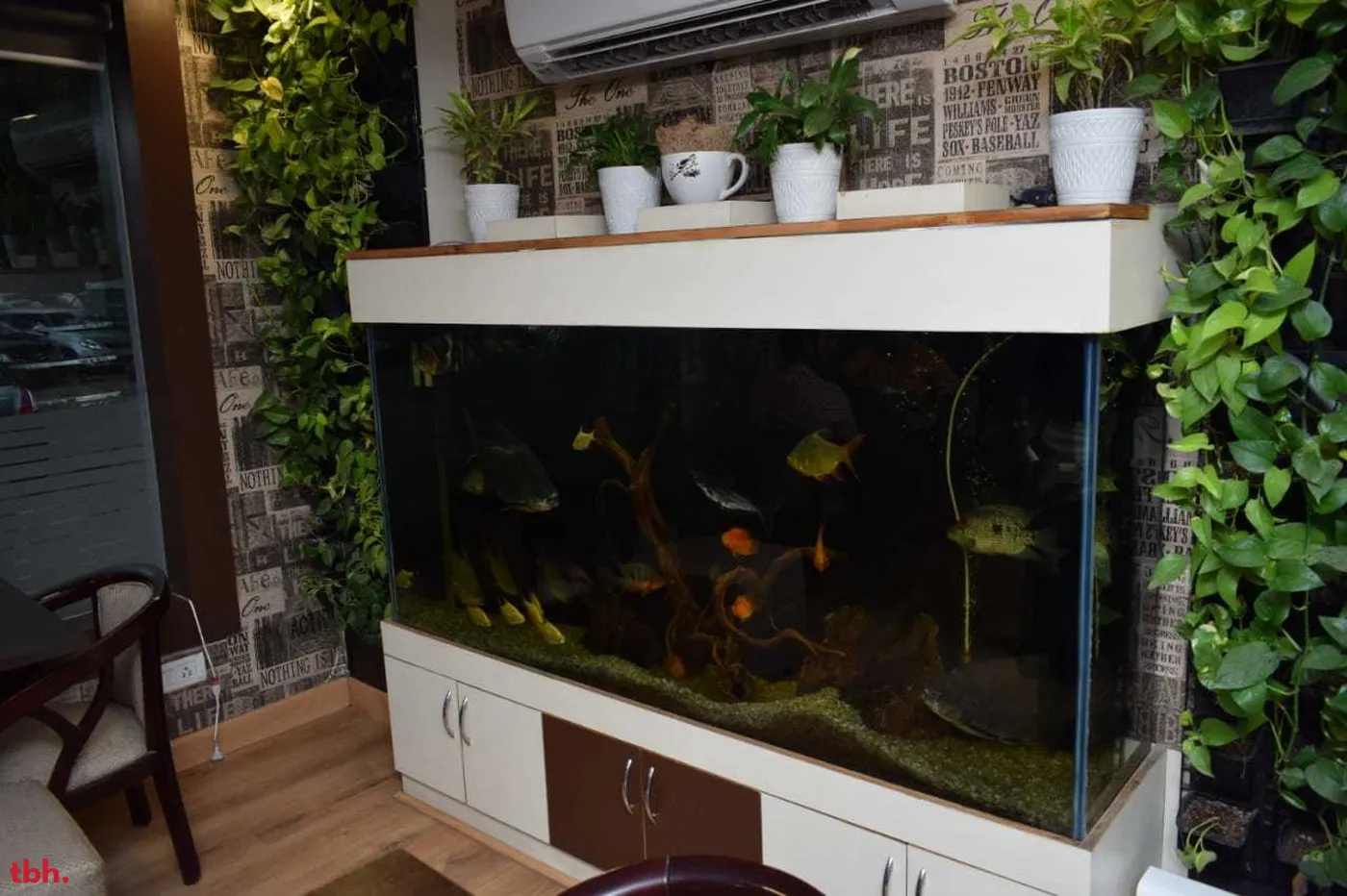 Coffee Cafe 9 Outlet Image