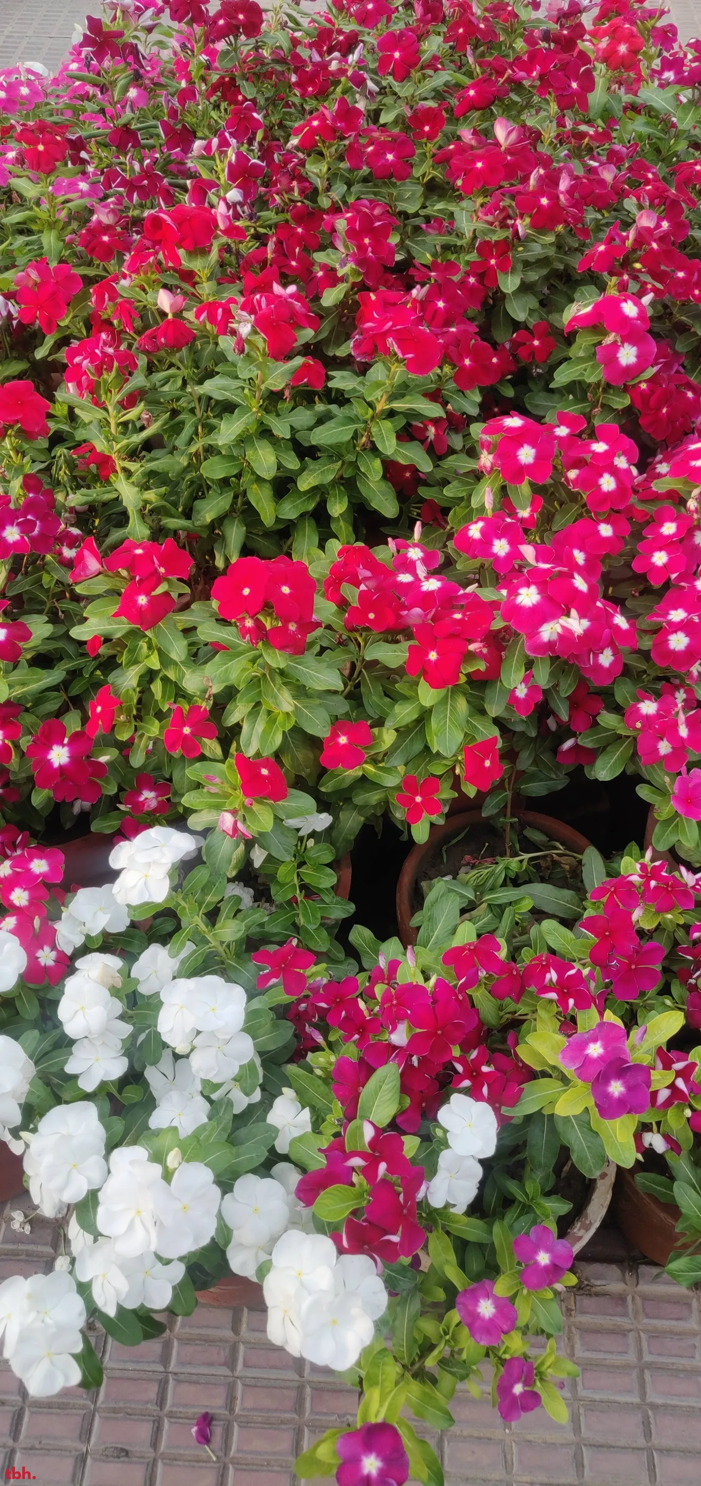 Dode's Cafe Outlet Image