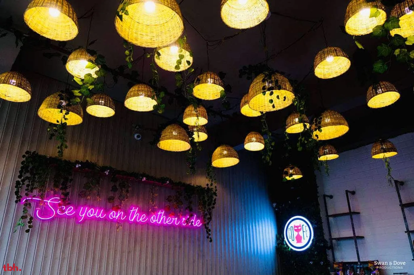 The Coffee Cat Outlet Image