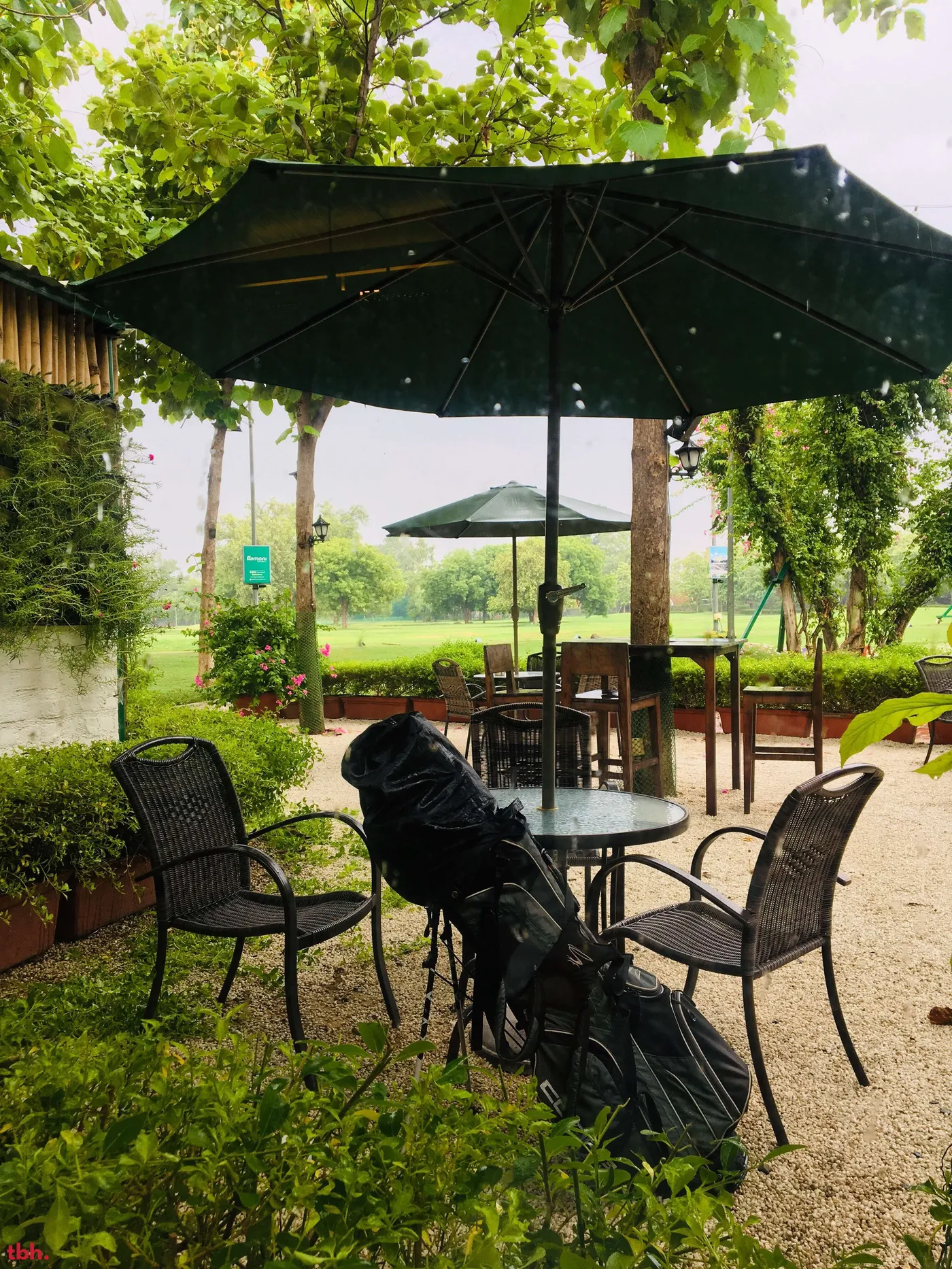 Hamoni : Cafe By The Greens Outlet Image