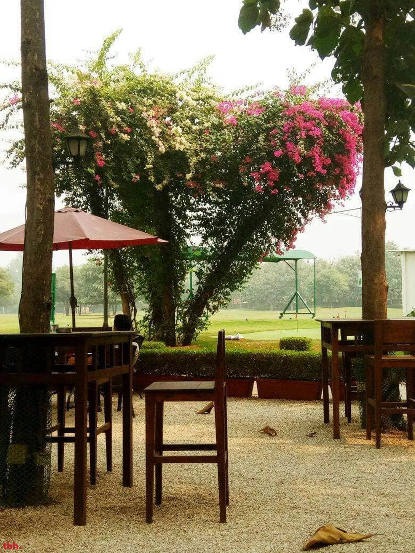 Hamoni : Cafe By The Greens Outlet Image