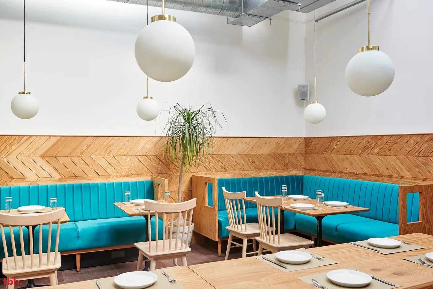 Quick Brown Fox Coffee Roasters Outlet Image