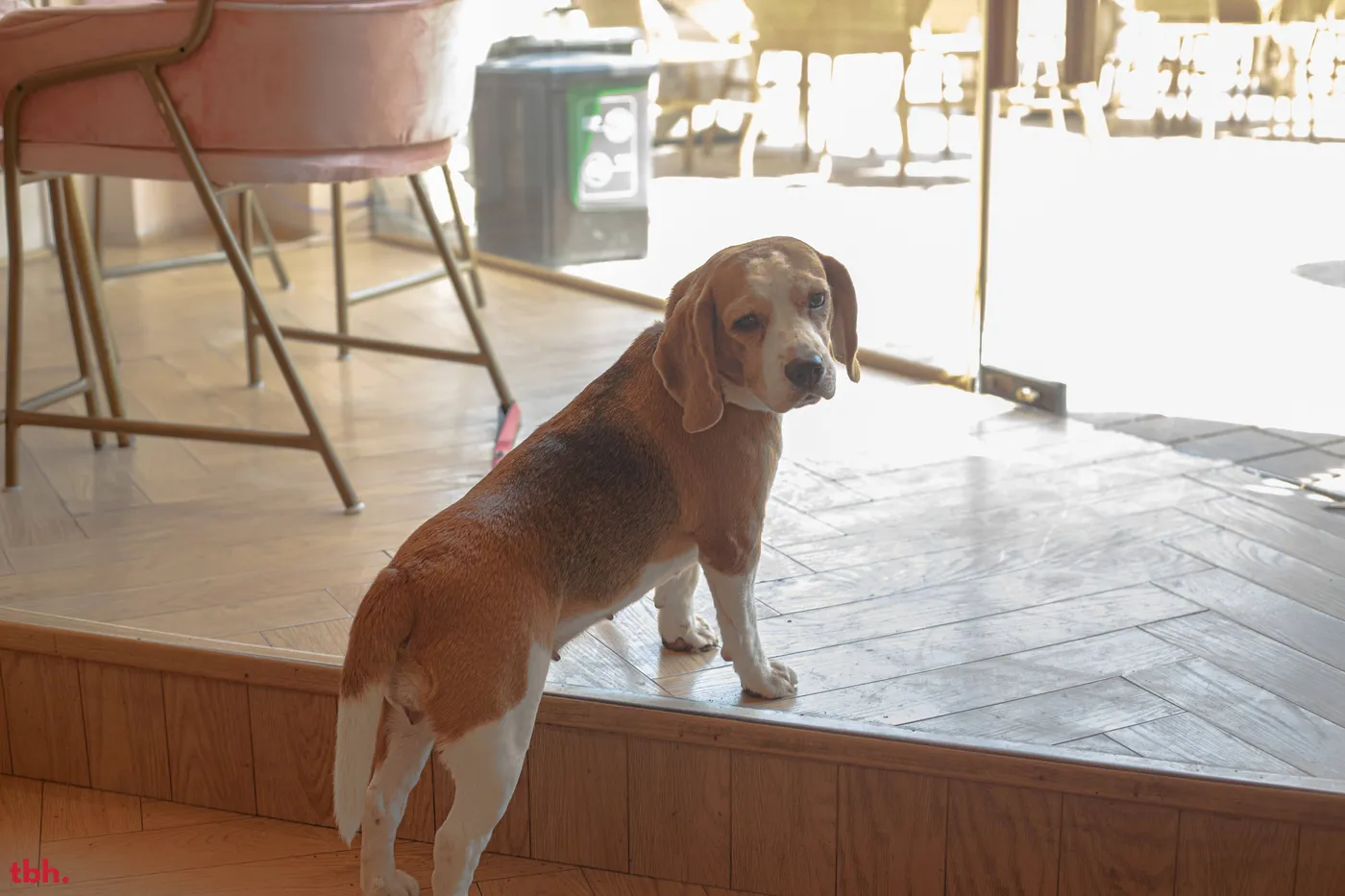 Fifth Avenue Bakery & Cafe Outlet Image