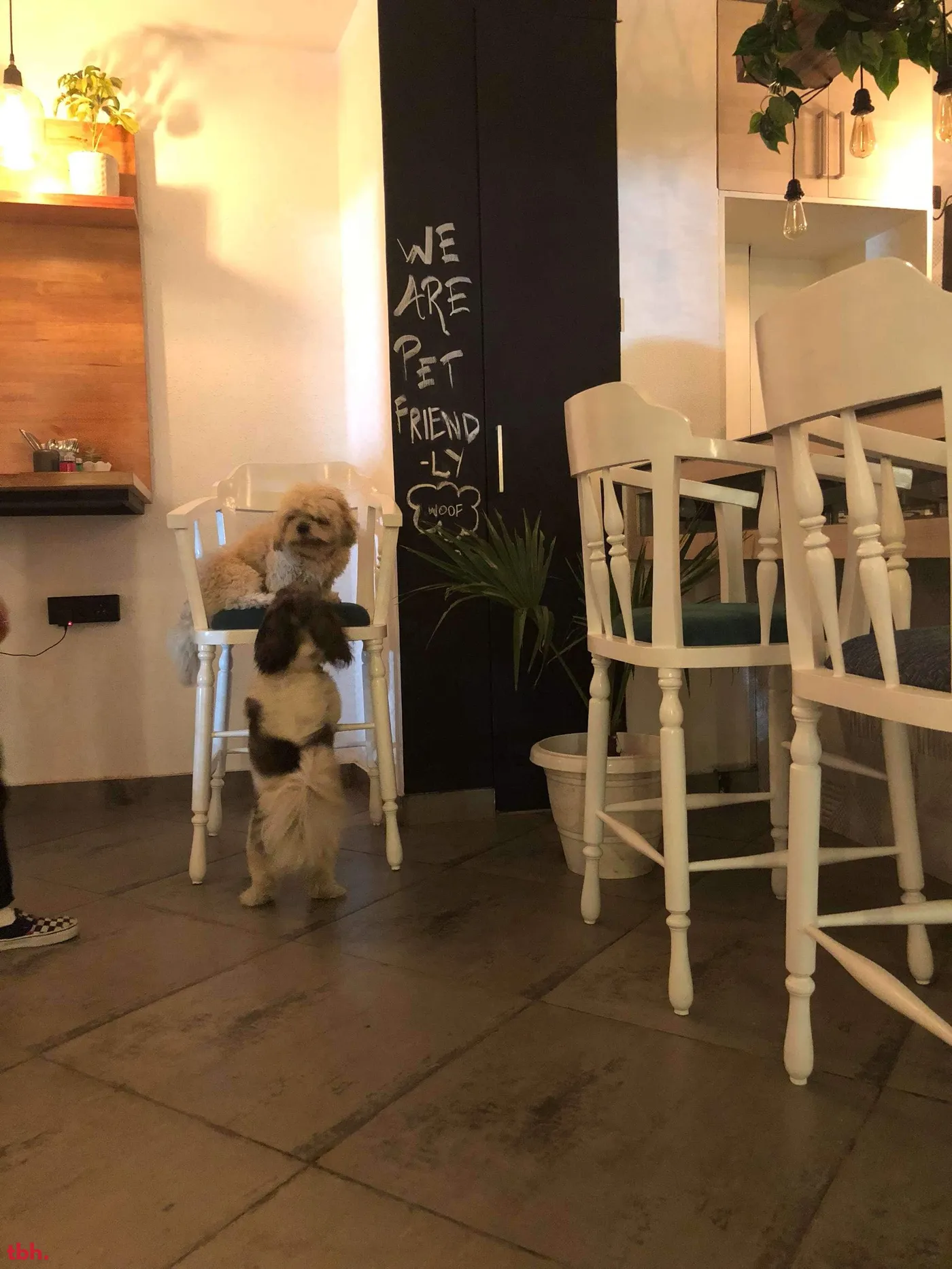 Cultured - Heartcrafted Brew & Eatery Outlet Image