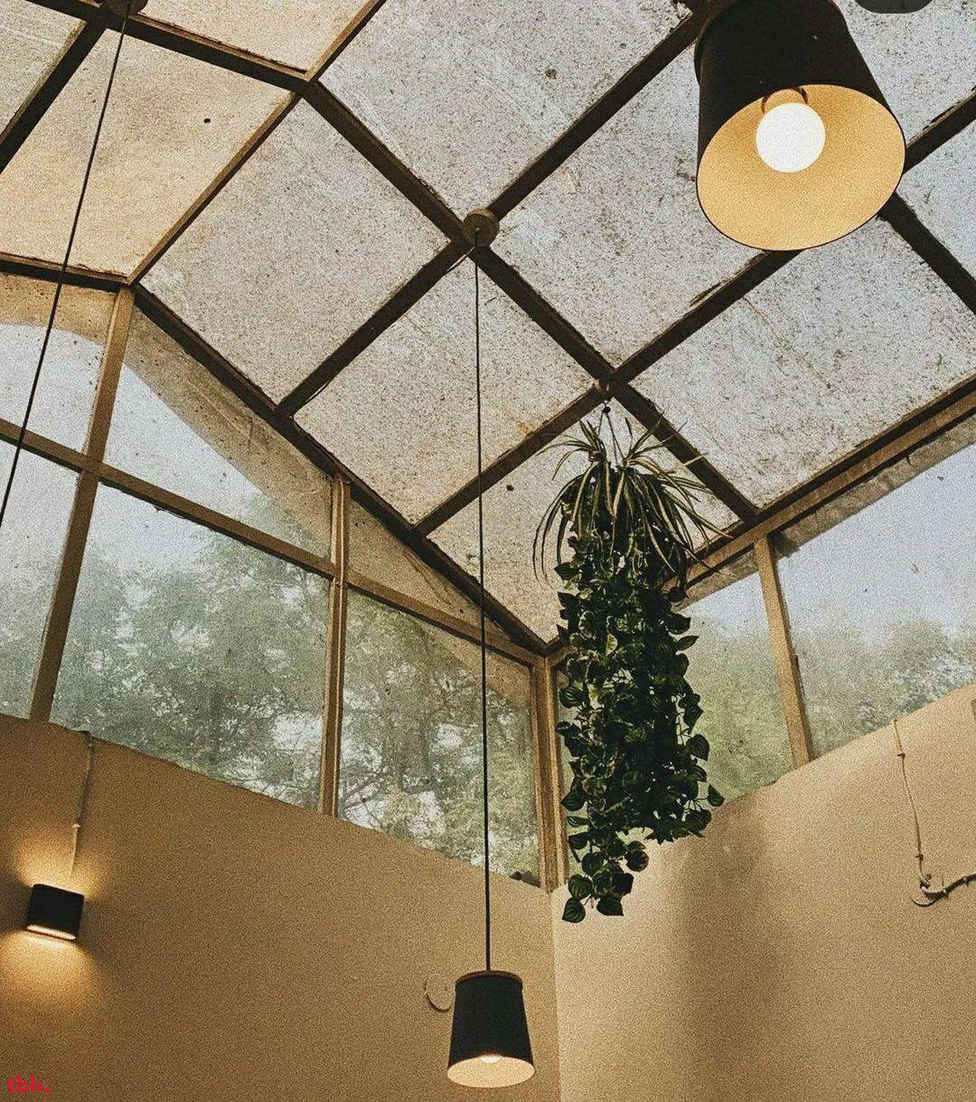 Got Tea Outlet Image