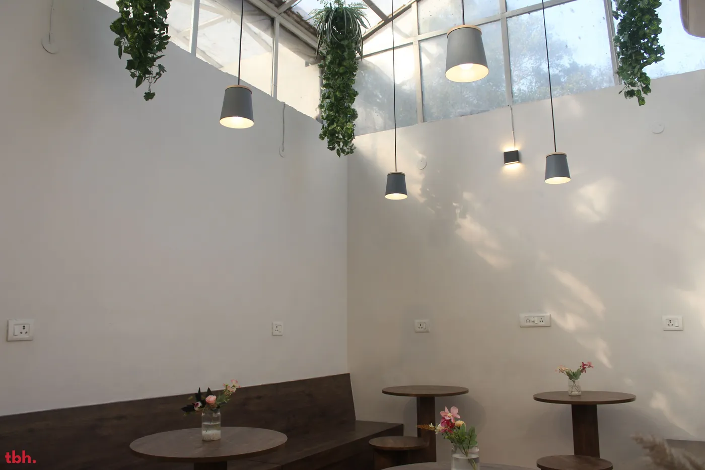 Got Tea Outlet Image