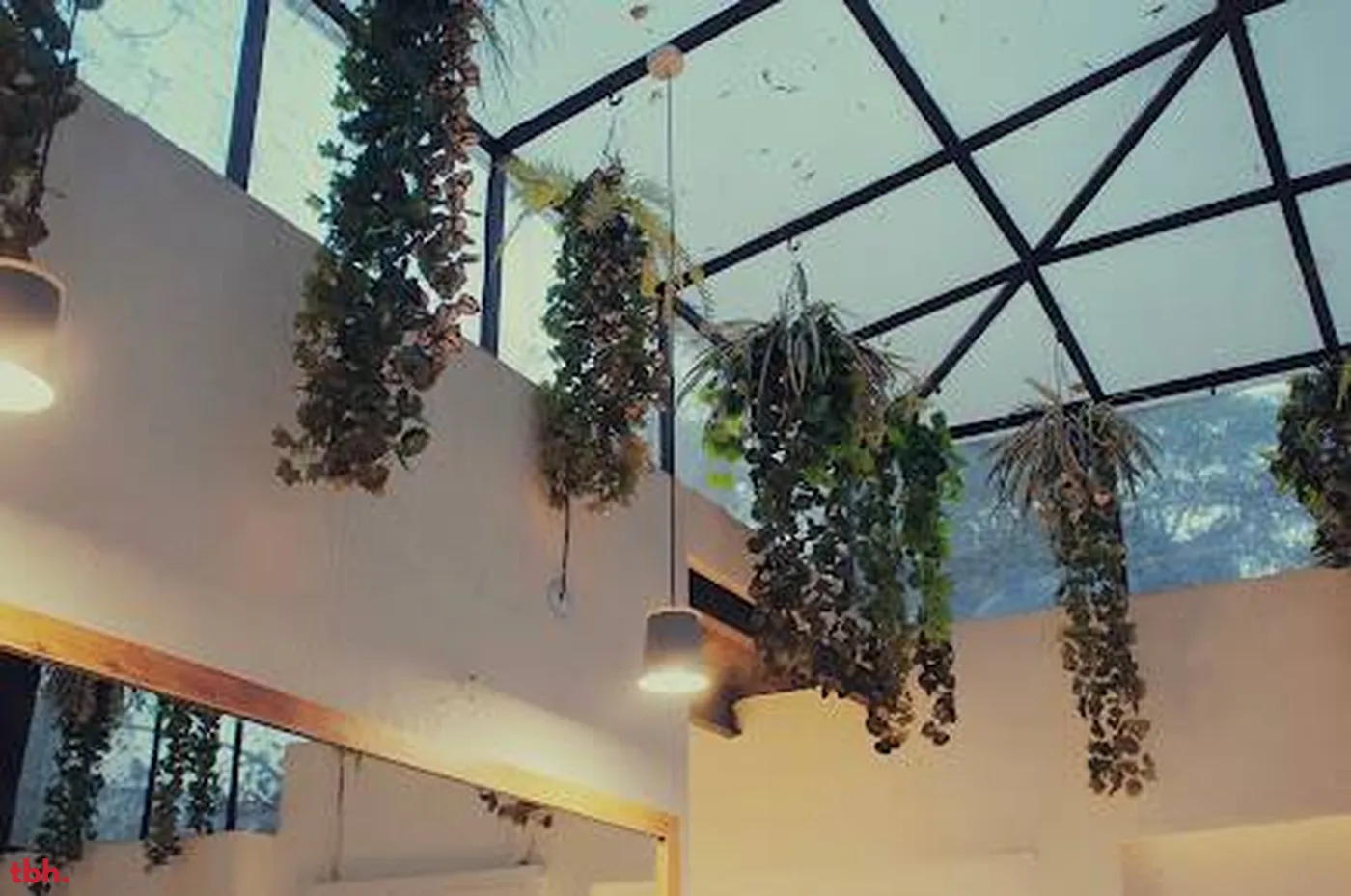 Got Tea Outlet Image