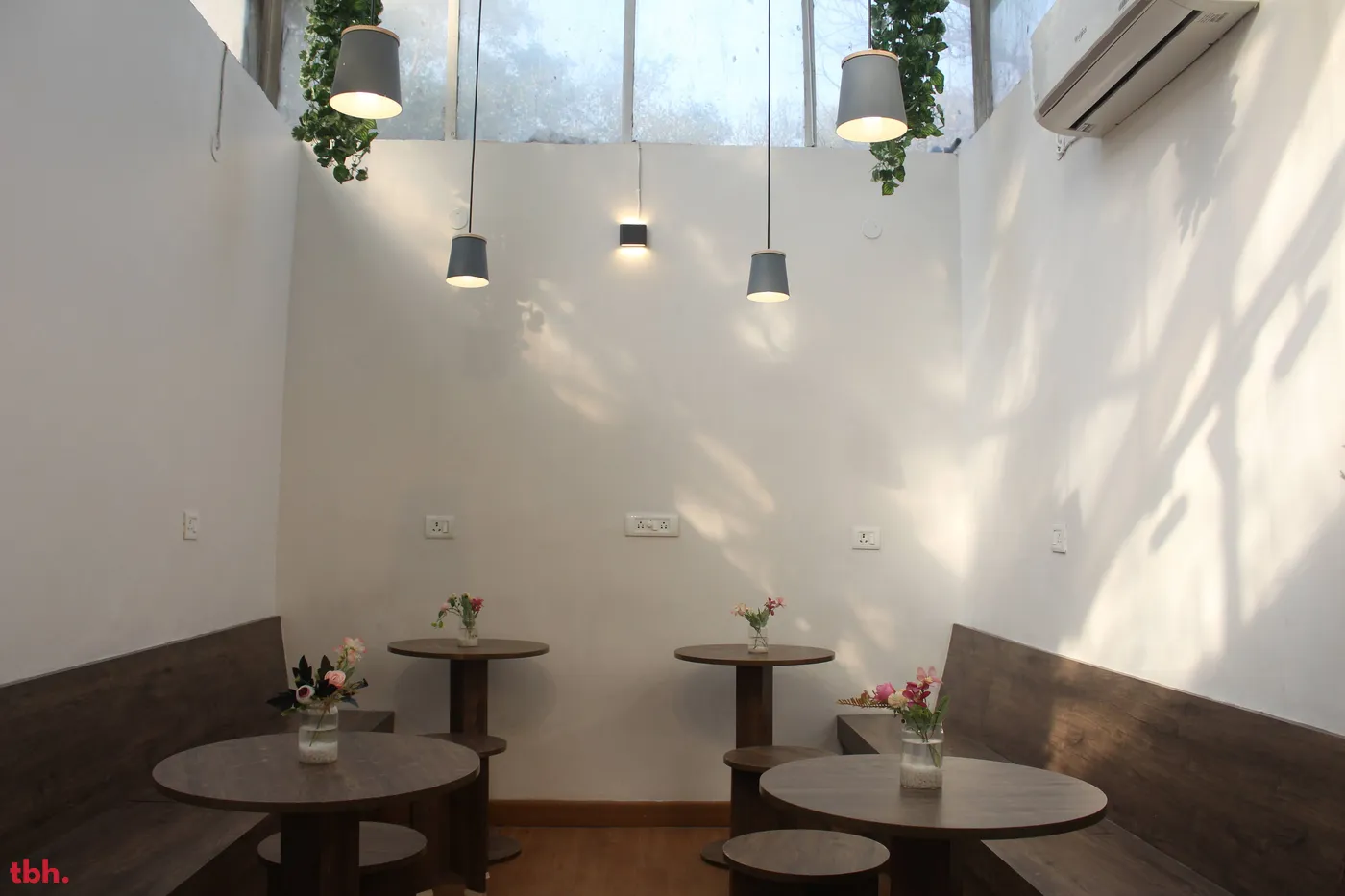 Got Tea Outlet Image