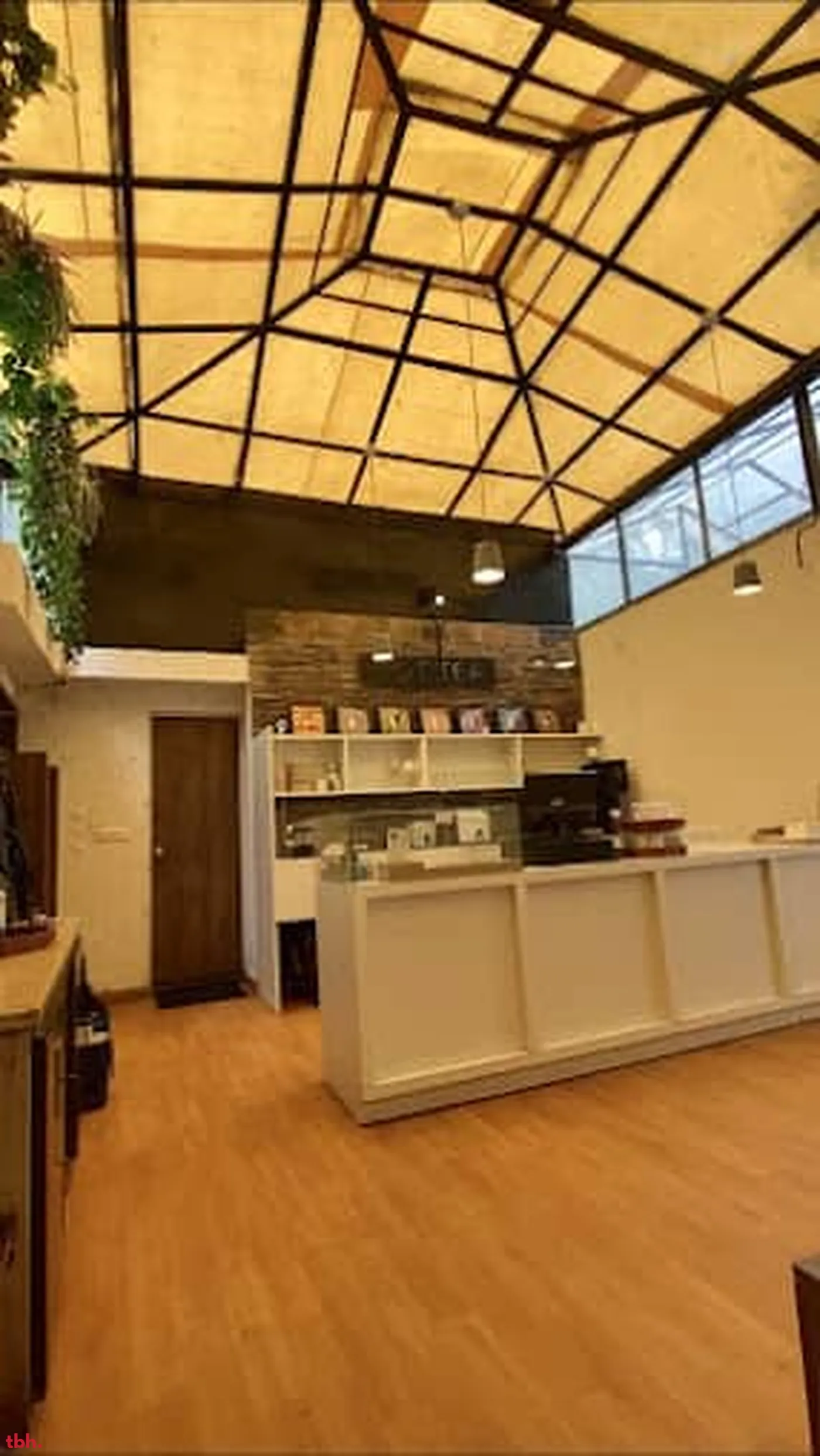 Got Tea Outlet Image