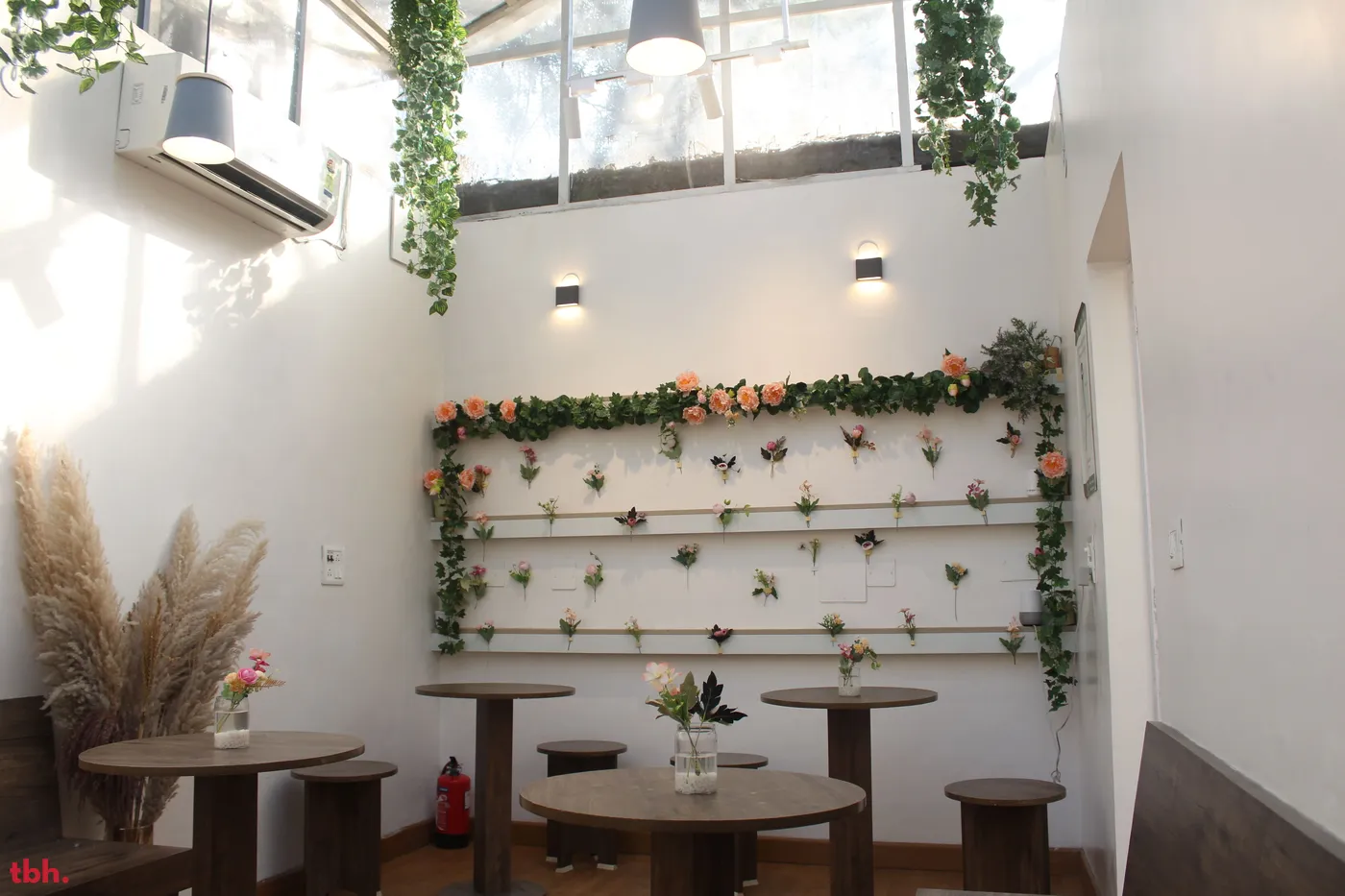 Got Tea Outlet Image