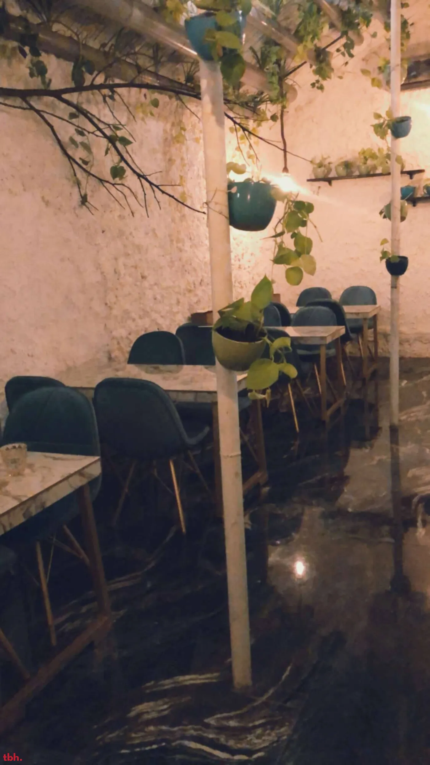 The Big Tree Cafe Outlet Image