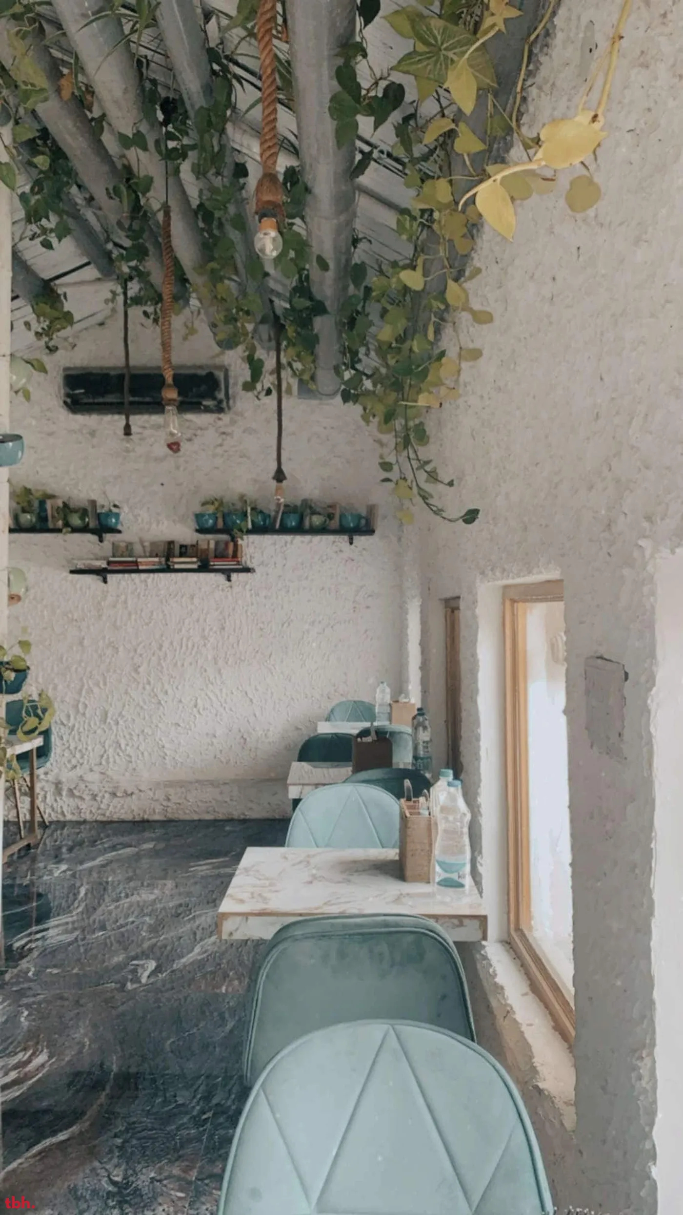 The Big Tree Cafe Outlet Image