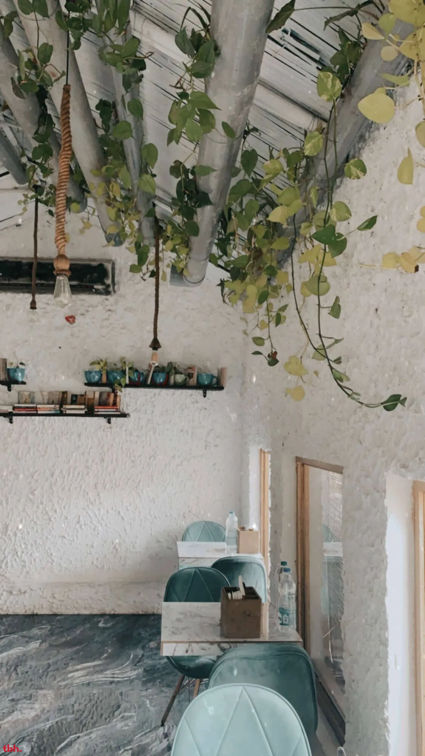 The Big Tree Cafe Outlet Image