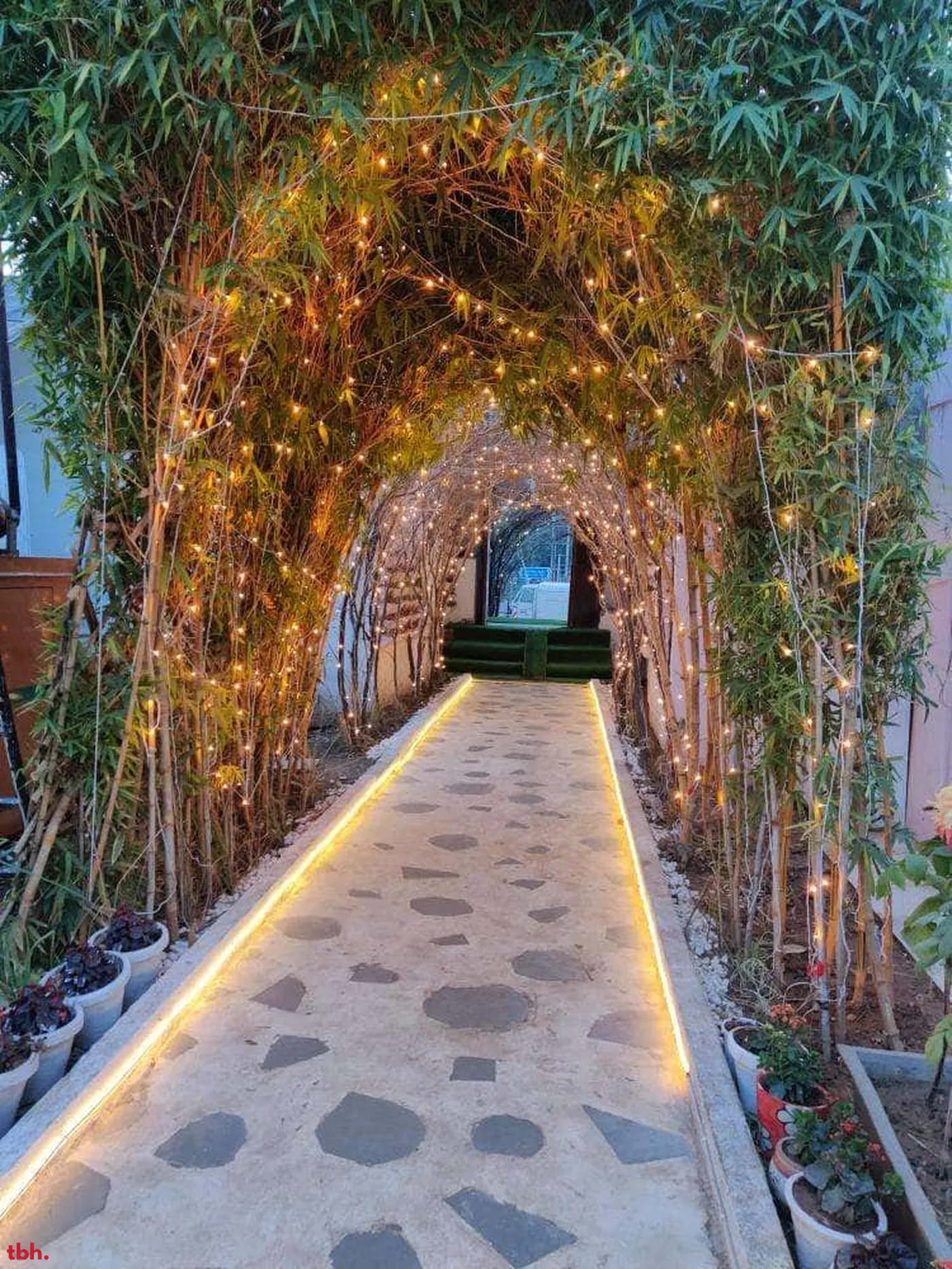 The Big Tree Cafe Outlet Image