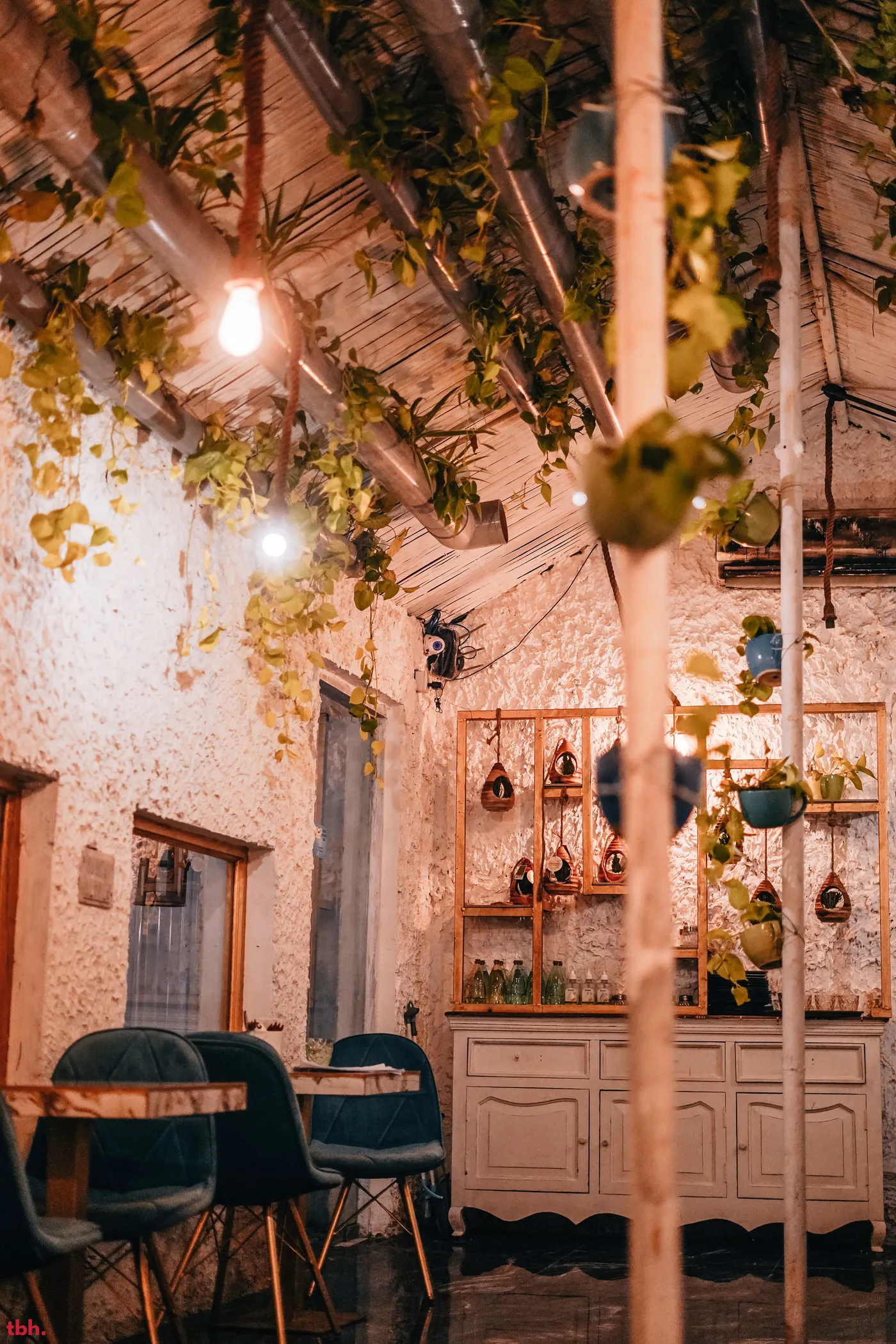 The Big Tree Cafe Outlet Image